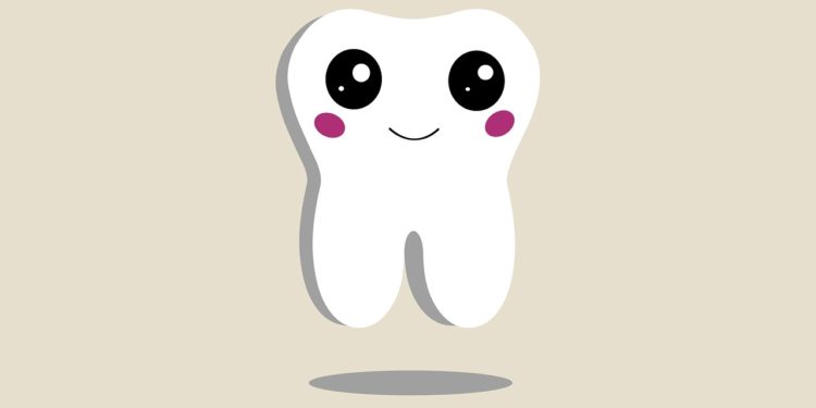 Veneers – die ästhetische Zahnverblendung