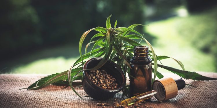 Alles über Cannabis-basierte Medizin